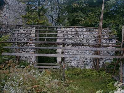 Ruine Scharnstein