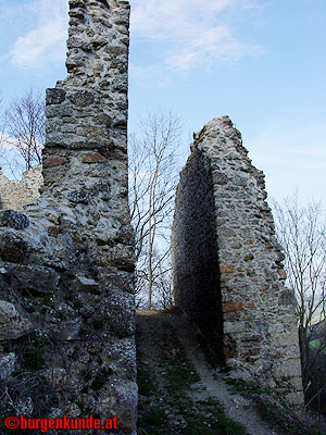 Burgruine Ruttenstein / Oberösterreich