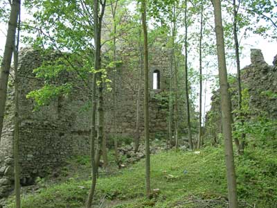 Ruine Ruttenstein