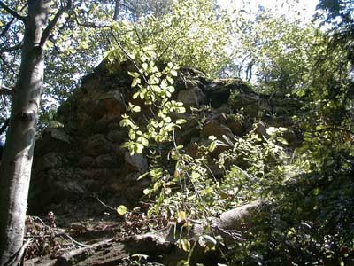 Ruine Säbnich