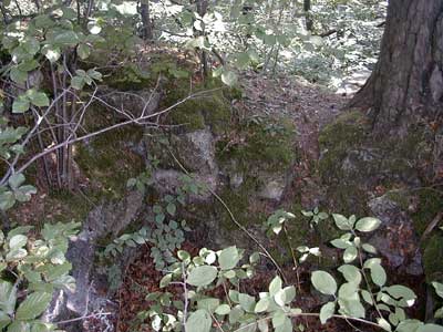 Ruine Säbnich