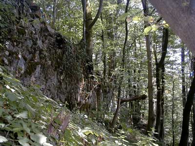 Ruine Säbnich