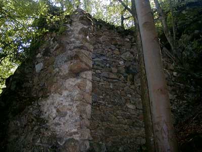 Ruine Säbnich