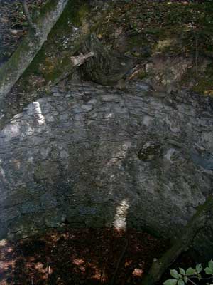 Ruine Säbnich