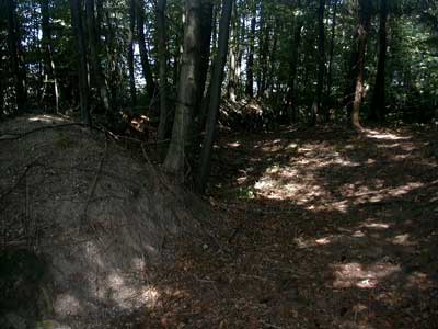 Ruine Säbnich