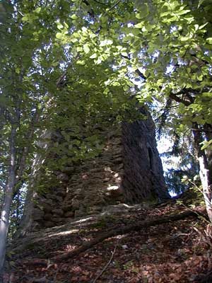 Ruine Saxenegg