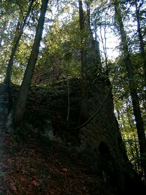 Ruine Saxenegg