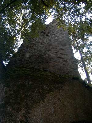 Ruine Saxenegg