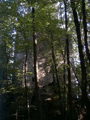 Ruine Saxenegg