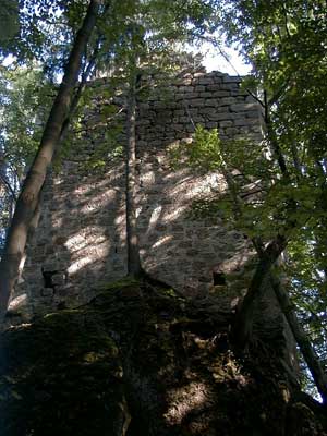 Ruine Saxenegg