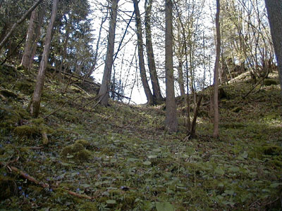 Ruine Schallenburg