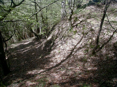 Ruine Schallenburg