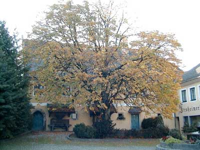 Schloß Stroheim