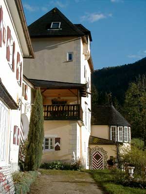 Ruine Dachsberg