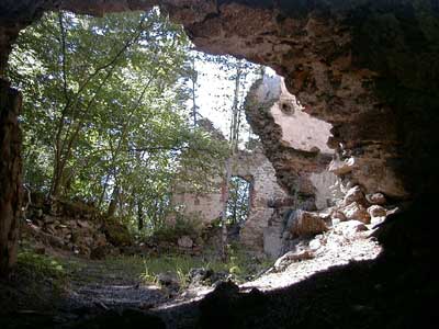 Ruine Wallsee