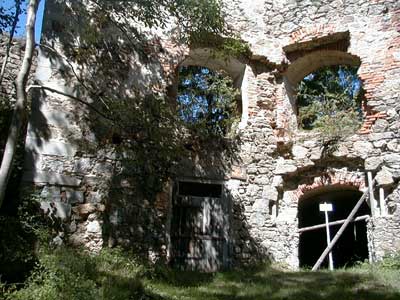 Ruine Wallsee