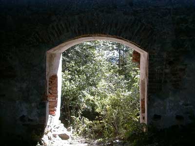 Ruine Wallsee