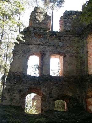 Ruine Wallsee