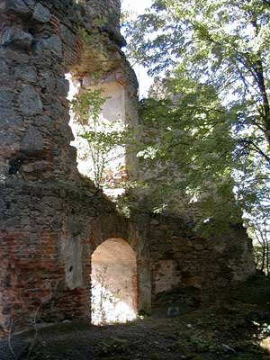 Ruine Wallsee