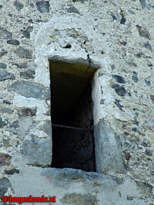 Ruine Waxenberg / Oberösterreich