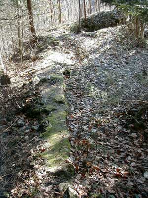 Ruine Wildeneck