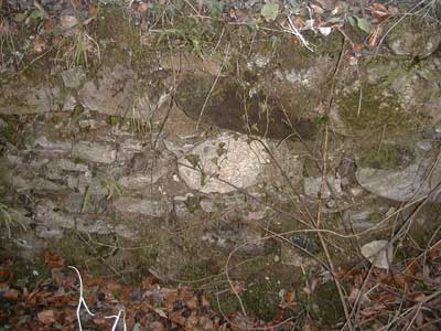 Ruine Wildeneck