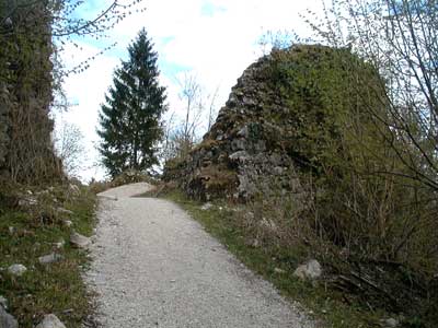 Ruine Wildenstein