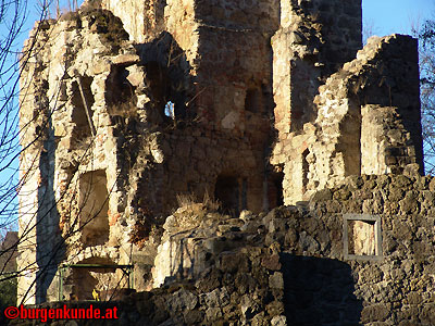 Ruine Windhaag / Oberösterreich